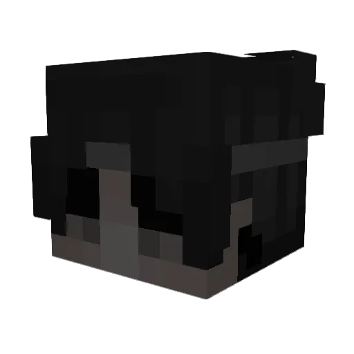 tsc_sweaty Minecraft avatar head, 3D render