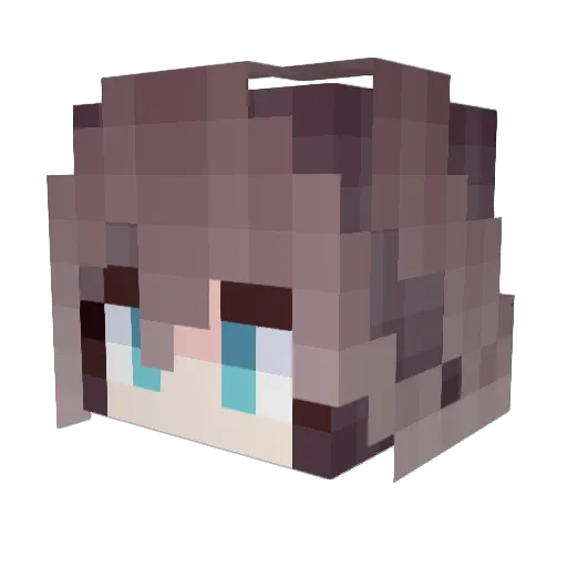 tsd1011 Minecraft avatar head, 3D render