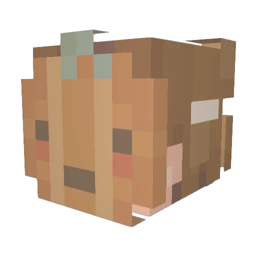 tseisi Minecraft avatar head, 3D render