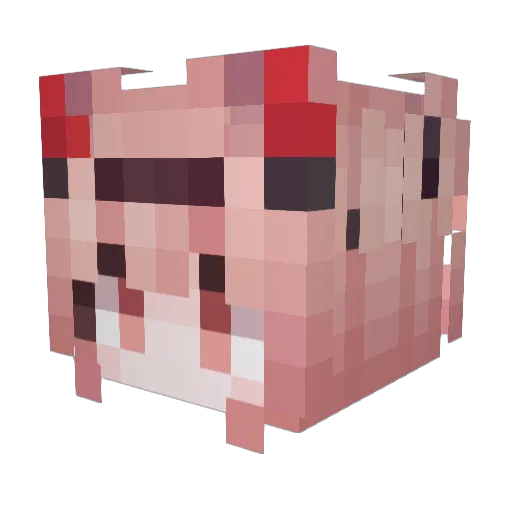 tseveon Minecraft avatar head, 3D render
