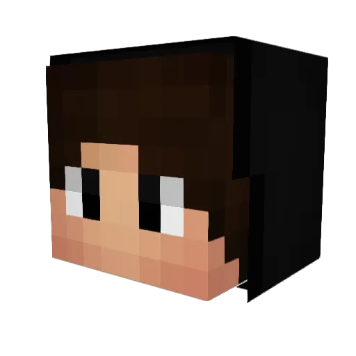 tshawn2014 Minecraft avatar head, 3D render