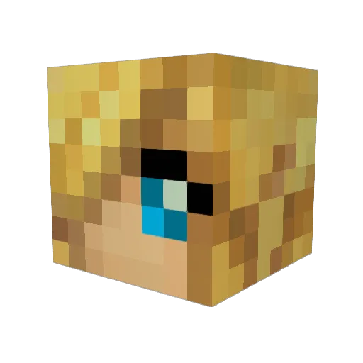 tsinger0 Minecraft avatar head, 3D render