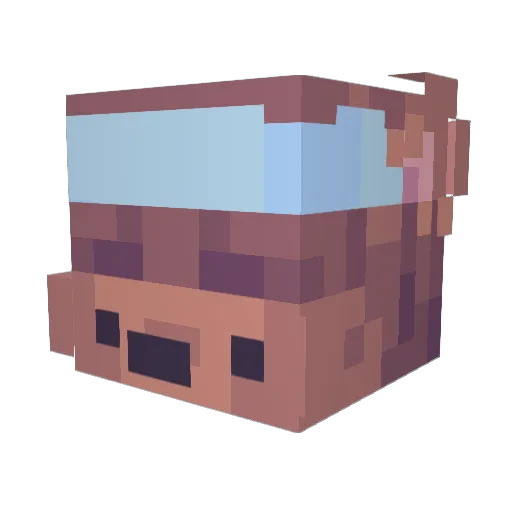 tsisari Minecraft avatar head, 3D render