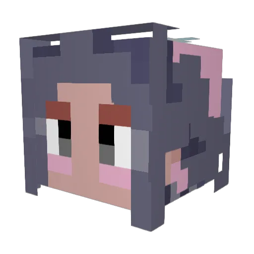 tsnmx Minecraft avatar head, 3D render