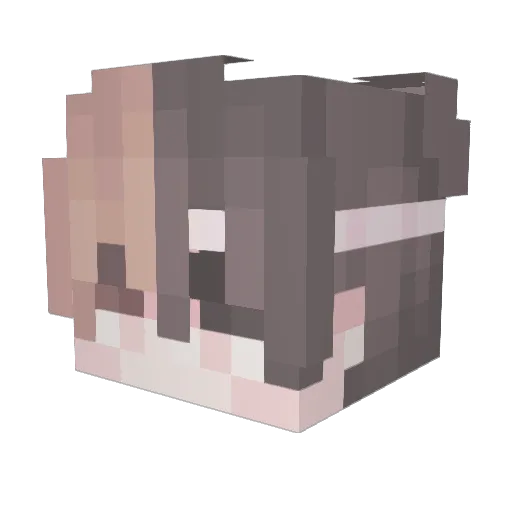 tso_ Minecraft avatar head, 3D render