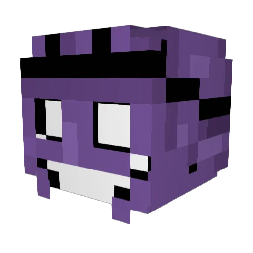tsonass_ Minecraft avatar head, 3D render