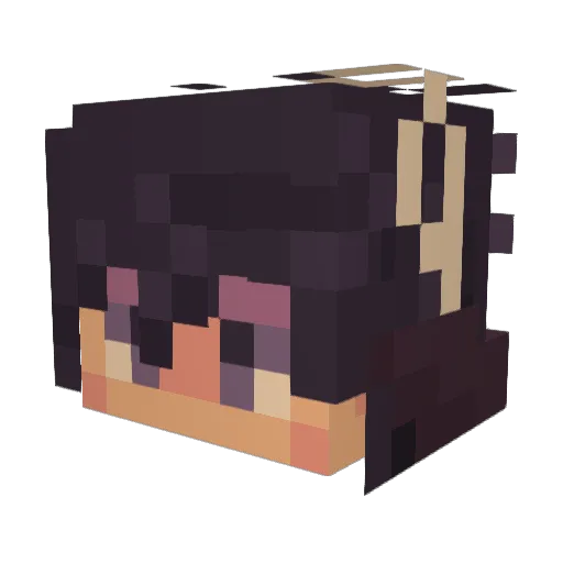 tsstealthy Minecraft avatar head, 3D render