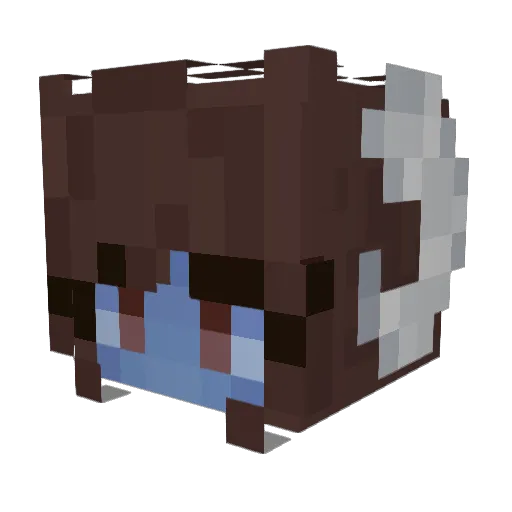 tstormn3tw0rk Minecraft avatar head, 3D render