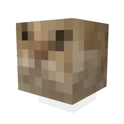 tsty314 Minecraft avatar head, 3D render