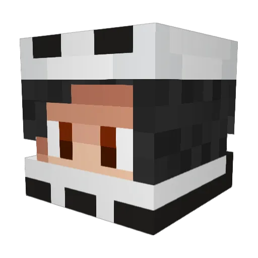 tsu_papa Minecraft avatar head, 3D render