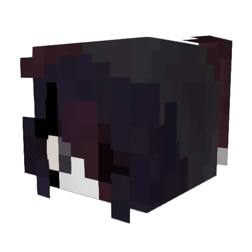 tsuflwr Minecraft avatar head, 3D render