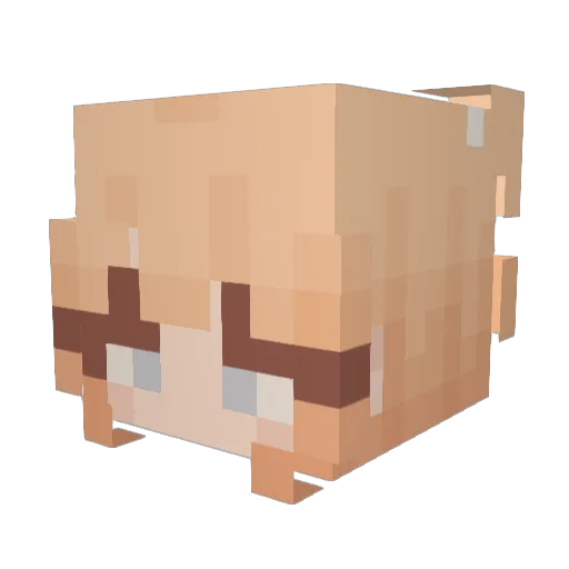 tsuiui Minecraft avatar head, 3D render