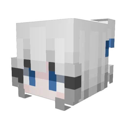 tsukapyon Minecraft avatar head, 3D render