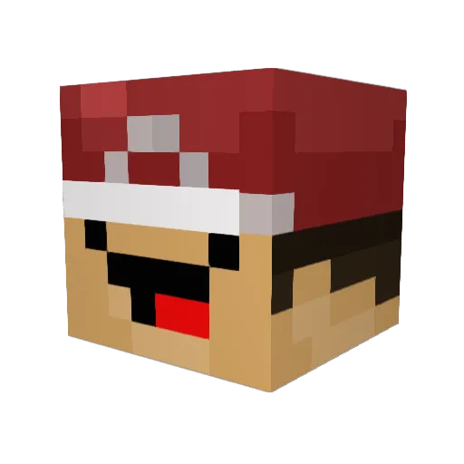 tsukiTAO Minecraft avatar head, 3D render