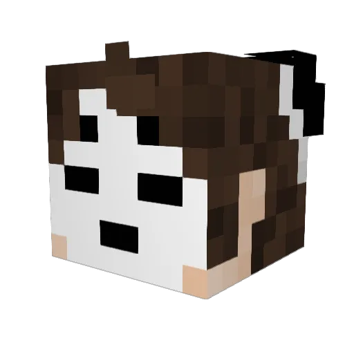tsukuyqmi Minecraft avatar head, 3D render