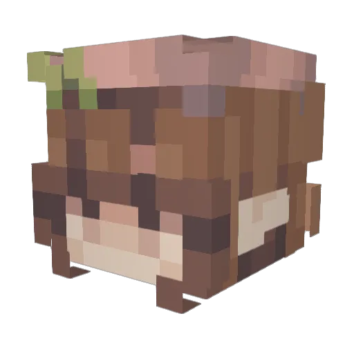 tsunLanga Minecraft avatar head, 3D render
