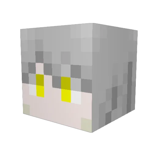 tsuna171 Minecraft avatar head, 3D render