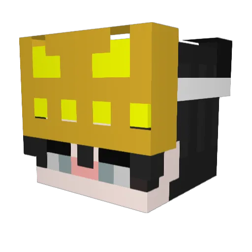 tsune1211 Minecraft avatar head, 3D render