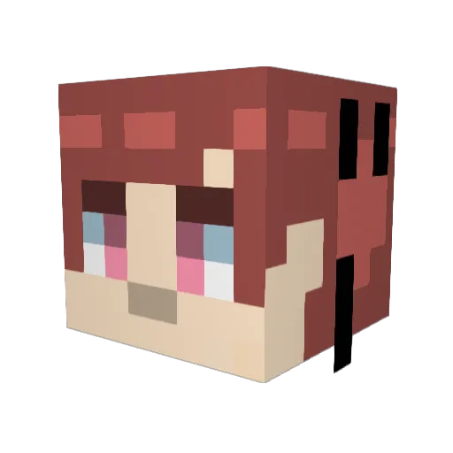 tsurayoshi Minecraft avatar head, 3D render