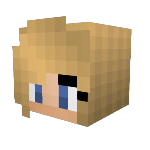 tswluvsminecraft Minecraft avatar head, 3D render