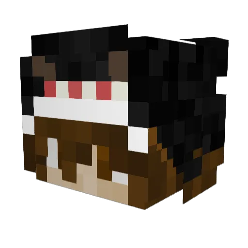 tt6v_ Minecraft avatar head, 3D render