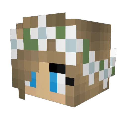 ttTigris Minecraft avatar head, 3D render