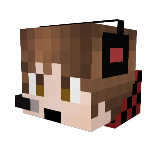 ttamttam1 Minecraft avatar head, 3D render