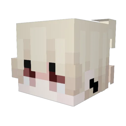 ttawi Minecraft avatar head, 3D render
