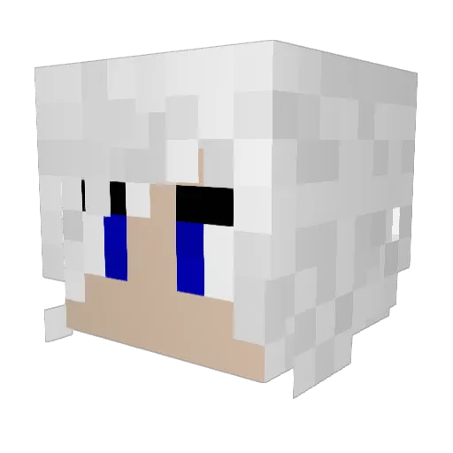 ttbob88 Minecraft avatar head, 3D render