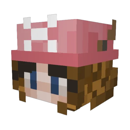 ttchop404 Minecraft avatar head, 3D render