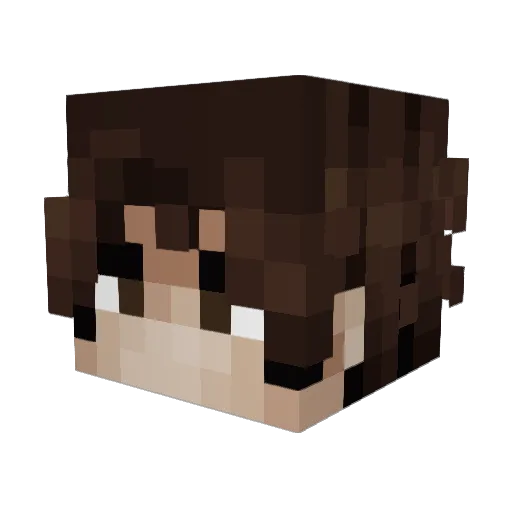 ttdm1 Minecraft avatar head, 3D render