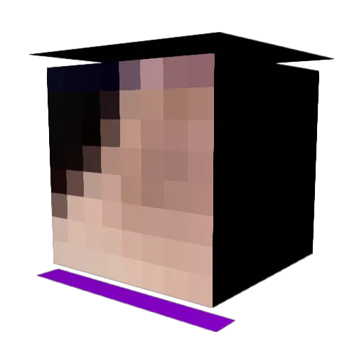 ttdogg789 Minecraft avatar head, 3D render