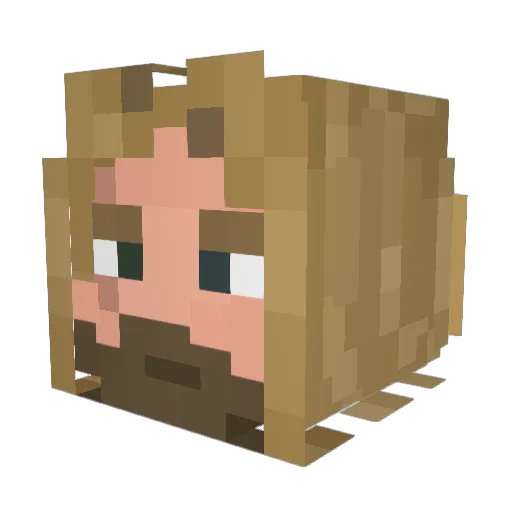 tterry292 Minecraft avatar head, 3D render