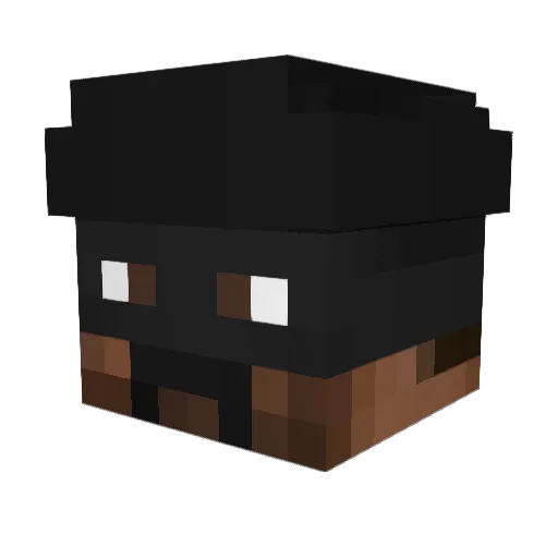 tthefox789 Minecraft avatar head, 3D render