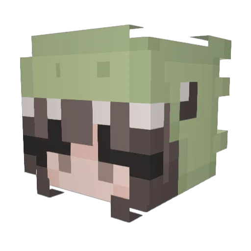 ttikkonea Minecraft avatar head, 3D render