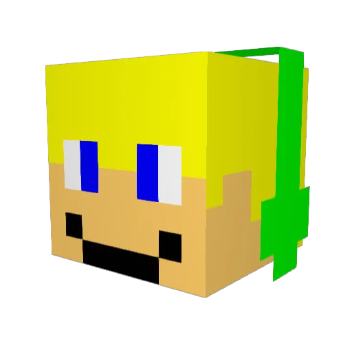 ttjj2005 Minecraft avatar head, 3D render