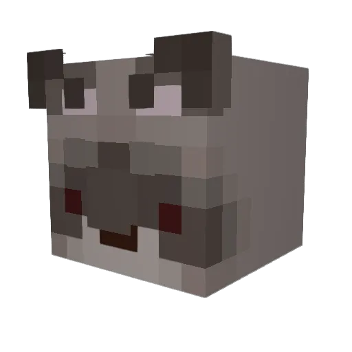 ttoastedd Minecraft avatar head, 3D render