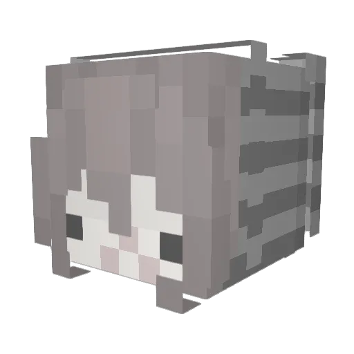 ttommii Minecraft avatar head, 3D render