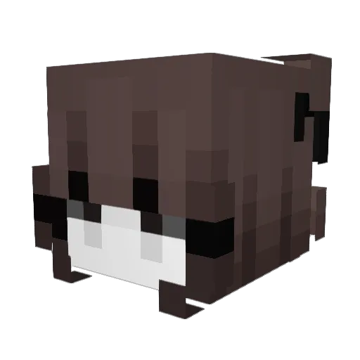 ttoshu Minecraft avatar head, 3D render