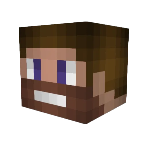 ttrae Minecraft avatar head, 3D render