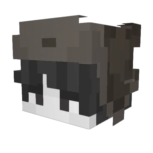 ttravz Minecraft avatar head, 3D render