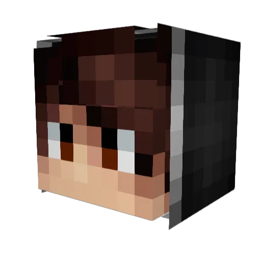 ttroi6 Minecraft avatar head, 3D render