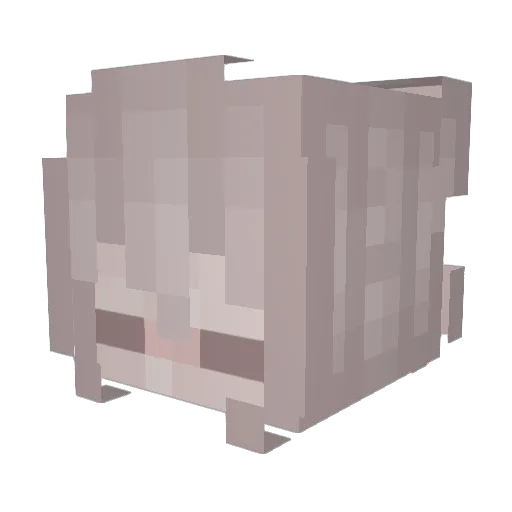 ttsforks Minecraft avatar head, 3D render