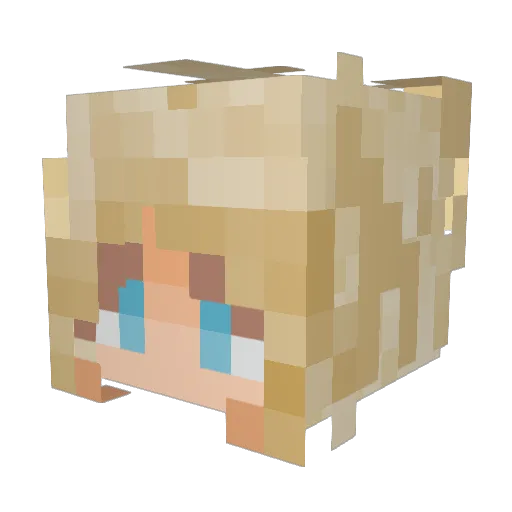 tttodesschnitzel Minecraft avatar head, 3D render