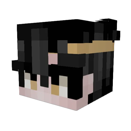 ttvTurtGaming Minecraft avatar head, 3D render