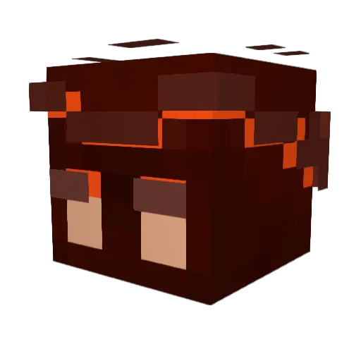 ttvnuggetreal123 Minecraft avatar head, 3D render