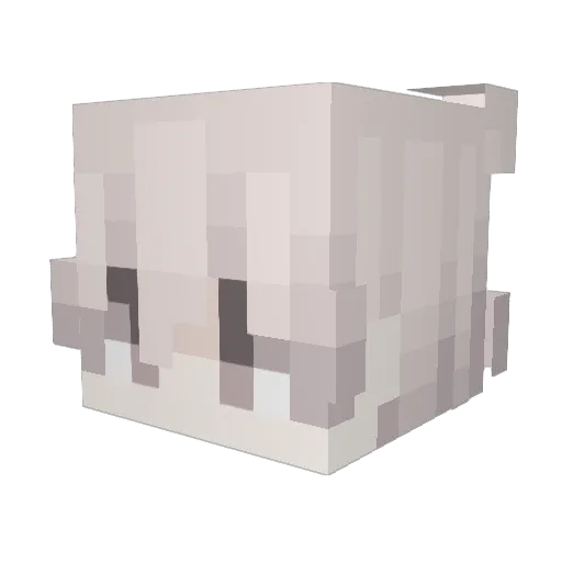 ttwisik Minecraft avatar head, 3D render