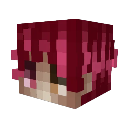 ttxnko Minecraft avatar head, 3D render