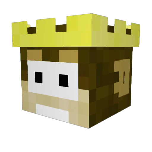 tty13 Minecraft avatar head, 3D render