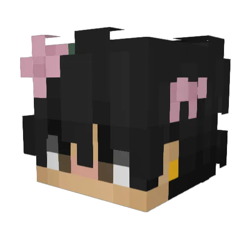 ttycen Minecraft avatar head, 3D render